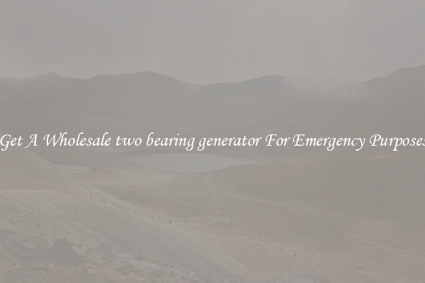 Get A Wholesale two bearing generator For Emergency Purposes