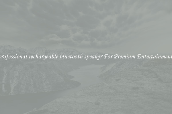 professional rechargeable bluetooth speaker For Premium Entertainment 