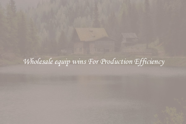 Wholesale equip wins For Production Efficiency