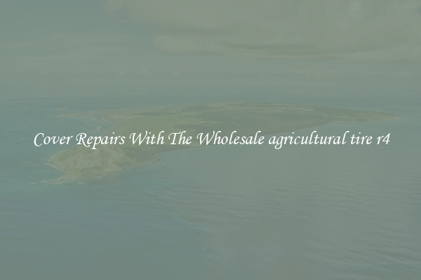  Cover Repairs With The Wholesale agricultural tire r4 