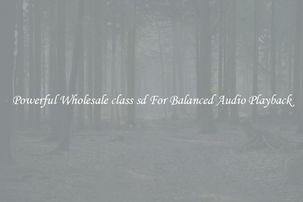 Powerful Wholesale class sd For Balanced Audio Playback