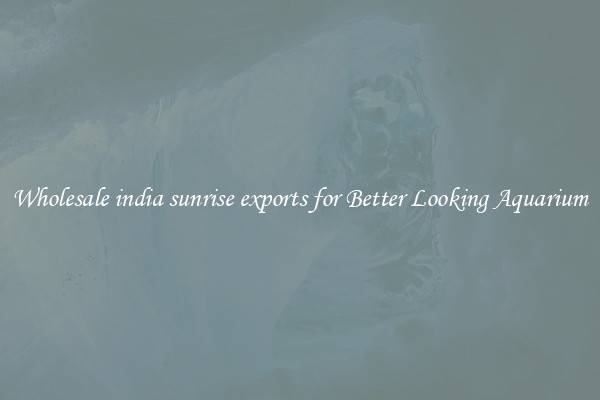 Wholesale india sunrise exports for Better Looking Aquarium