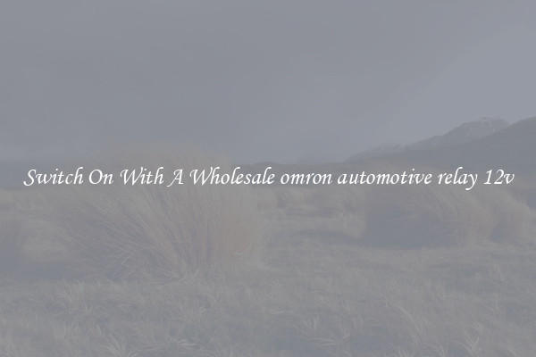Switch On With A Wholesale omron automotive relay 12v