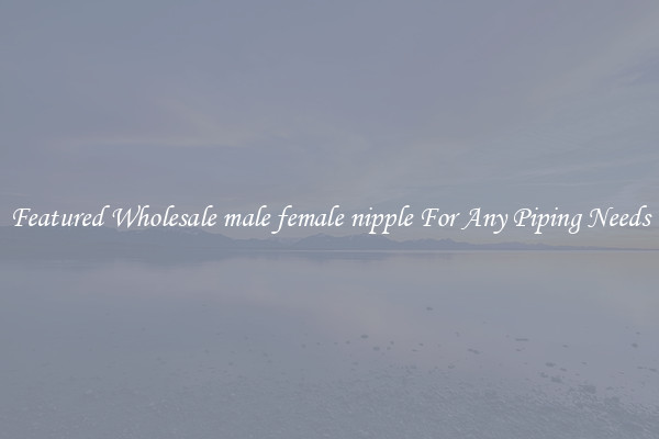 Featured Wholesale male female nipple For Any Piping Needs