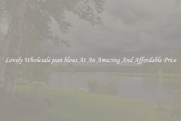 Lovely Wholesale jean blous At An Amazing And Affordable Price