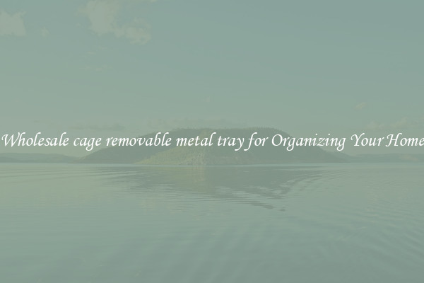 Wholesale cage removable metal tray for Organizing Your Home