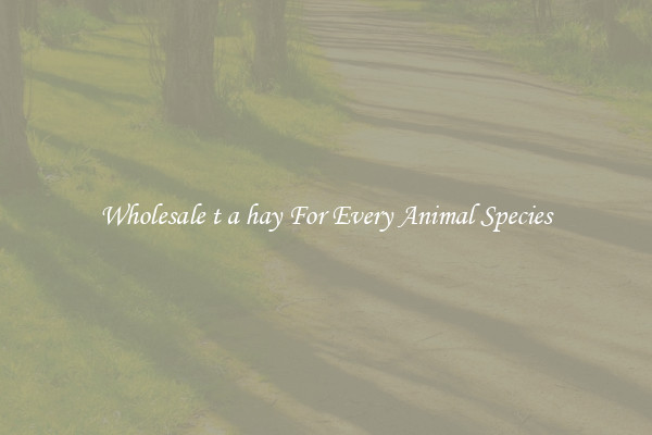 Wholesale t a hay For Every Animal Species