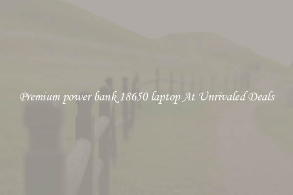 Premium power bank 18650 laptop At Unrivaled Deals