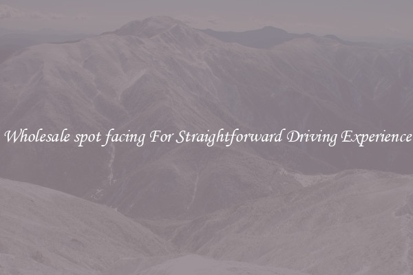 Wholesale spot facing For Straightforward Driving Experience