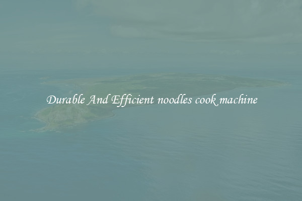 Durable And Efficient noodles cook machine