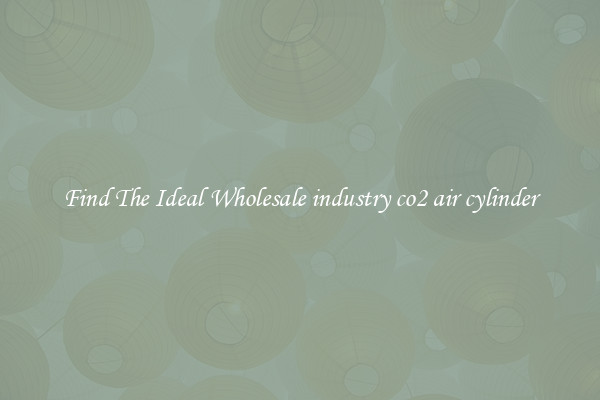 Find The Ideal Wholesale industry co2 air cylinder