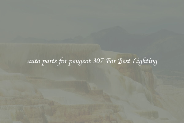 auto parts for peugeot 307 For Best Lighting