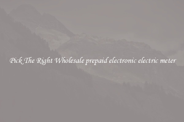 Pick The Right Wholesale prepaid electronic electric meter
