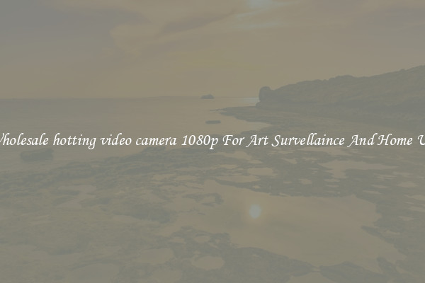 Wholesale hotting video camera 1080p For Art Survellaince And Home Use